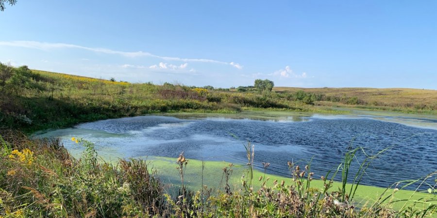 Spring Creek Prairie Audubon Center