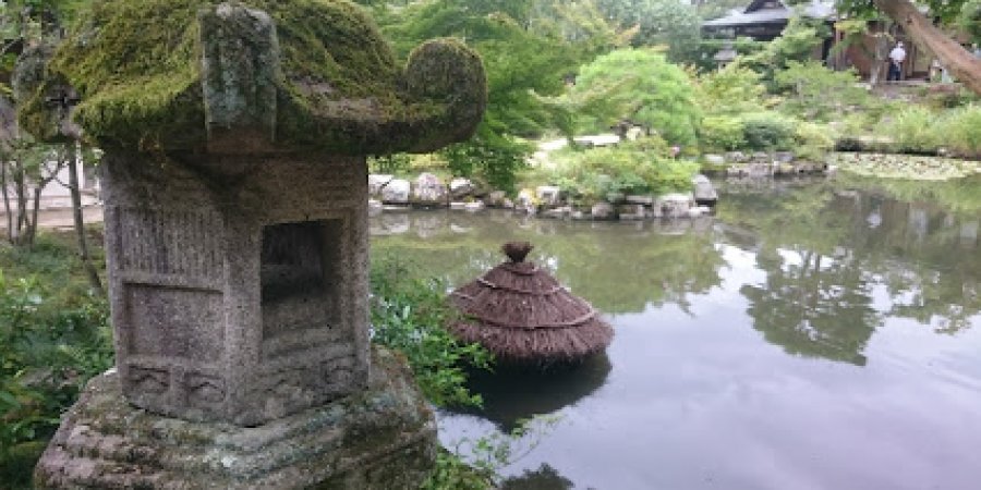 Nara - A City Known for Its Ancient Temples and Friendly Deer