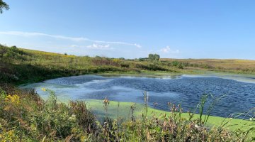 Best Hidden Gems of Lincoln, Nebraska
